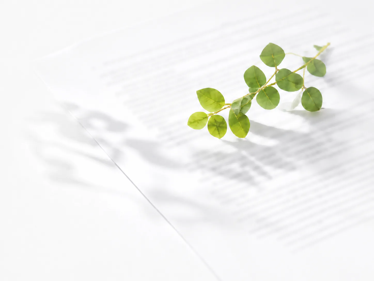 植物と香りに関する研究資料